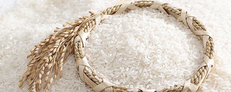 江米可以用电饭锅蒸米饭吗 江米蒸米饭和大米放一样多的水吗