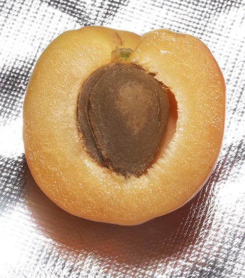 黄桃没熟怎么办 黄桃没熟是什么样的