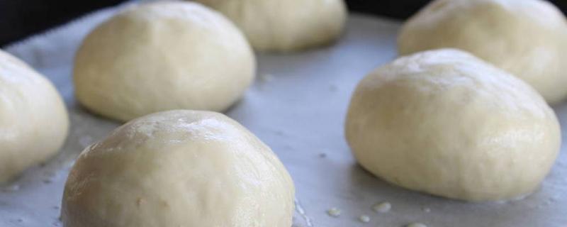 蒸包子需要多少分钟 蒸包子需要醒发多长时间