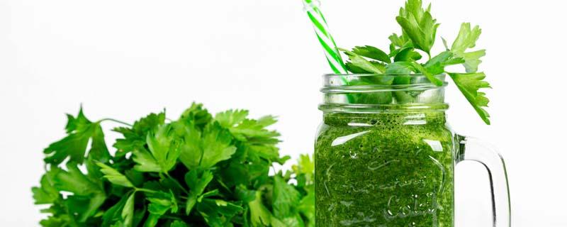芹菜汁怎么喝才能达到减肥的效果 长期吃芹菜汁的危害