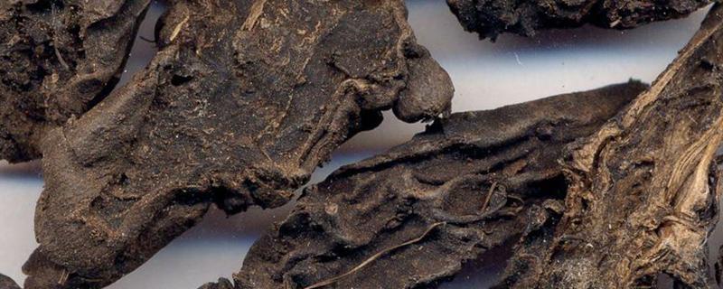 制草乌长期服用会头晕吗 制草乌吃完会犯困吗