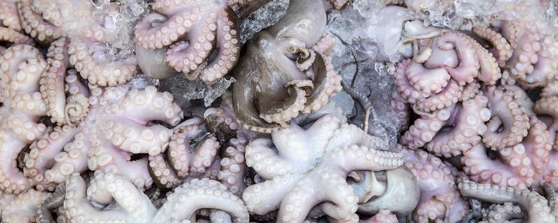 八爪鱼爆头怎么清洗 八爪鱼用不用去除内脏