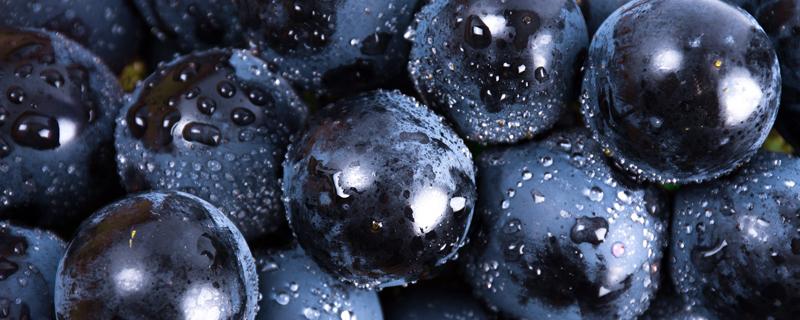 破壁机榨葡萄汁要去皮去籽吗 破壁机榨葡萄汁可以加牛奶吗