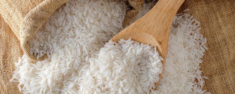 大米长了黑色的虫子还能吃吗 大米为什么会长黑色的虫