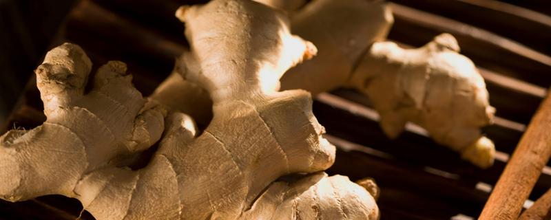 4类人不能吃姜 姜不能和什么一起吃