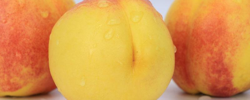 黄桃吃了会发胖吗 减肥能不能吃黄桃