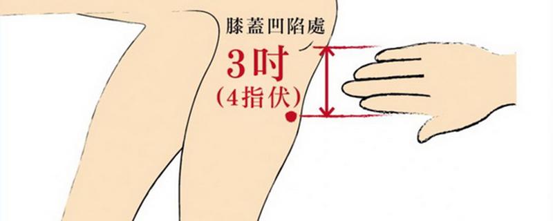 足三里什么时候不能按 按足三里的禁忌