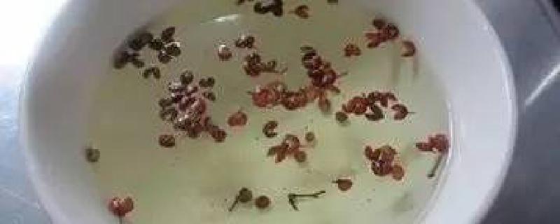 每天喝花椒水最佳时间 喝花椒水能去湿气吗