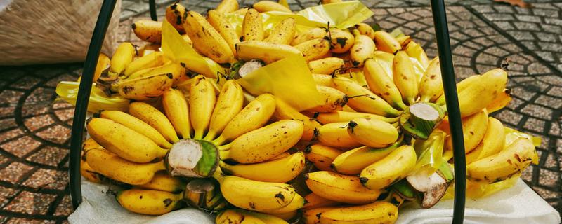 芭蕉是凉性还是热性水果 芭蕉怎么催熟