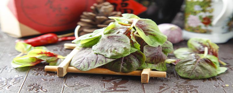 红苋菜为什么要焯水 红苋菜怎么保存