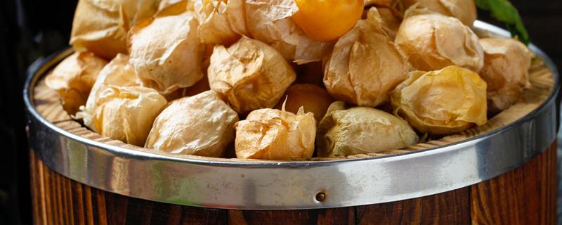 为什么肥胖者不宜多吃姑娘果 姑娘果吃多了会上火吗