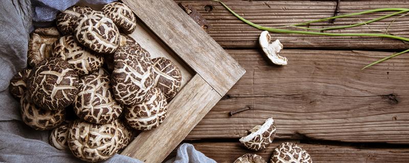 烤箱烘干蘑菇用多少度 蘑菇烘干几个小时可以干