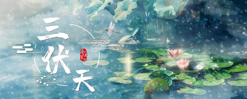 出伏后吃什么好 出伏后还能吃姜吗