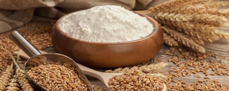 面粉生虫了还能吃吗 面粉生虫有什么办法可以去除