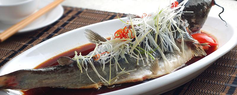 鲈鱼杀了可以放冰箱冷冻吗 鲈鱼放冰箱冷冻后还能清蒸吗