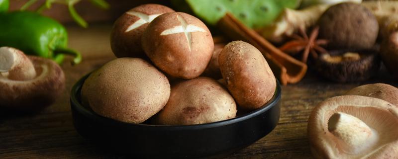 蘑菇焯水后可以冷冻吗 蘑菇保存放冷藏还是冷冻