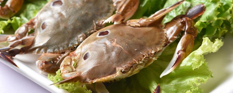 梭子蟹和大闸蟹哪个寒气更重 梭子蟹和大闸蟹哪个胆固醇高