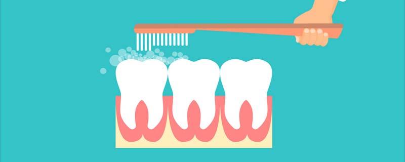 牙缝刷可以天天使用吗 先用牙刷还是牙缝刷