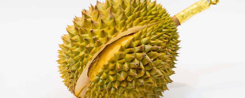 榴莲和鸡蛋可以一起吃吗 榴莲和鸡蛋一起吃有什么好处