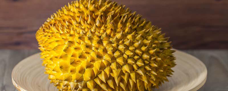 榴莲和花甲能一起吃吗 吃花甲和榴莲可以吃多少