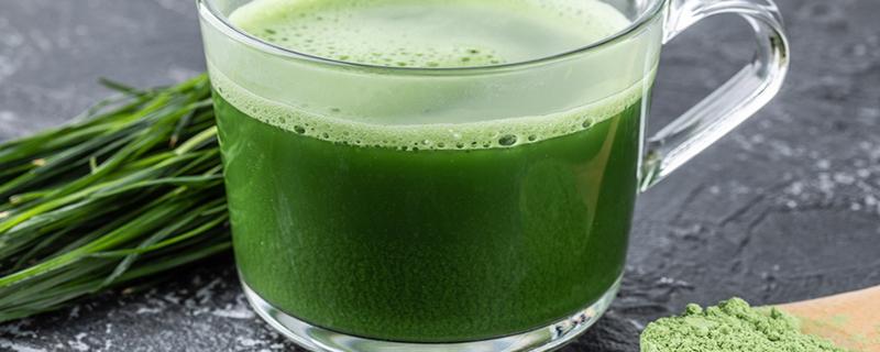 青汁是寒性还是温性的 青汁什么人都可以喝吗