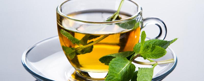 薄荷叶泡水能泡几次 薄荷叶泡水新鲜的好还是干的好