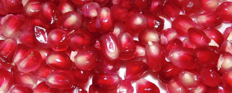 石榴籽发芽能吃吗 石榴籽发芽后的营养变化