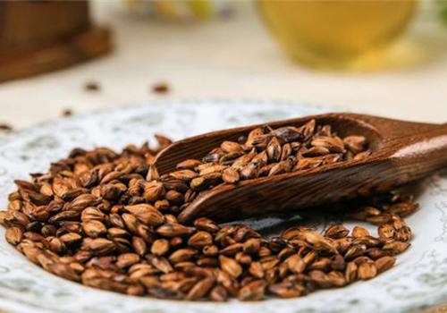 喝了大麦茶还能喂奶吗 喂奶可以喝大麦茶吗