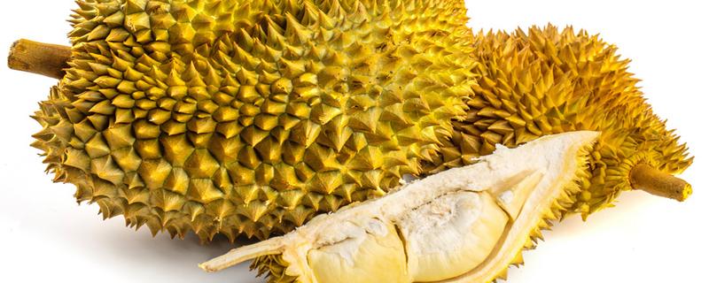 榴莲的皮和核能吃吗 榴莲的壳和核的作用