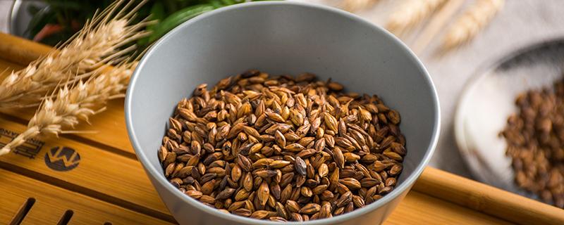 大麦茶是凉性还是热性 大麦茶的功效作用