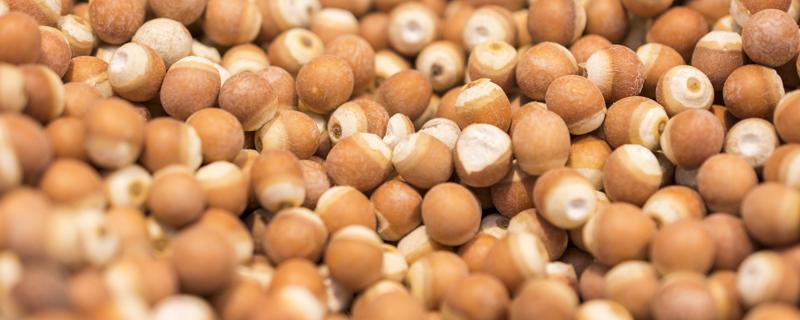 鸡头米和芡实的区别 鸡头米煮多久能熟