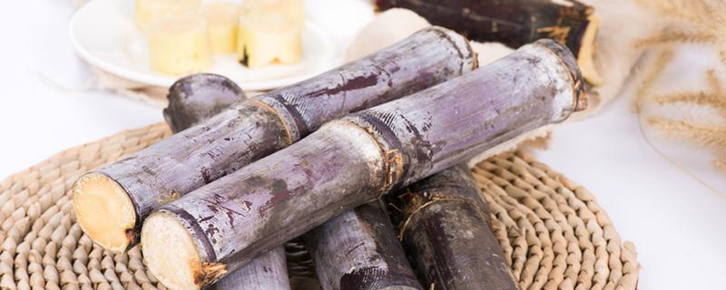 甘蔗皮下发红还能吃吗 甘蔗皮的营养价值