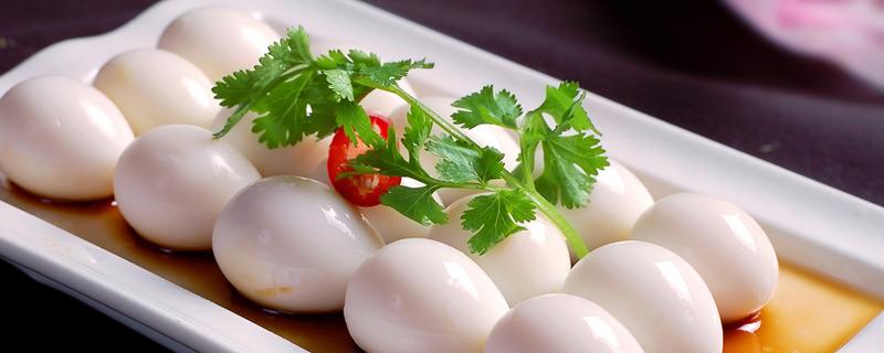 鸽子蛋煮多长时间 鸽子蛋一天可以吃几个