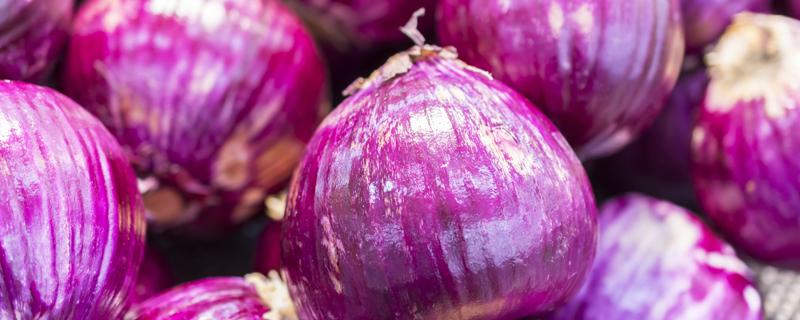 洋葱生吃有什么好处和坏处 洋葱热量高不高