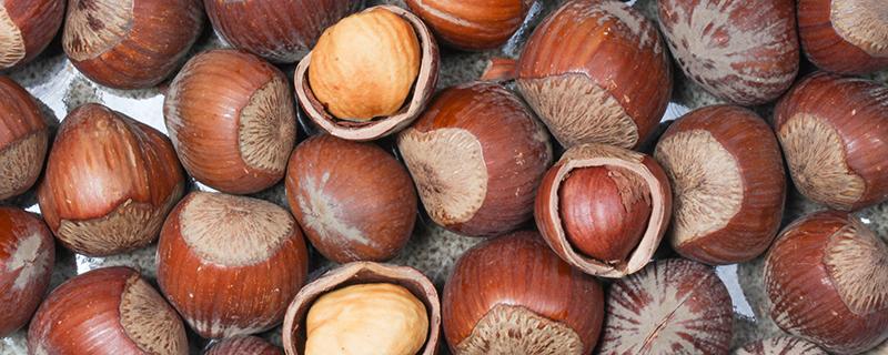 榛子怎么吃 榛子没有裂缝怎么剥