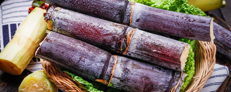 甘蔗发酵了能吃吗 甘蔗放冰箱几天还能吃吗