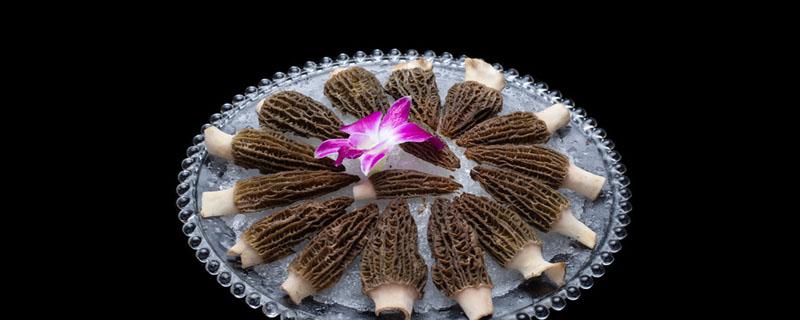 野生菌都有毒吗 野生菌中毒症状有哪些