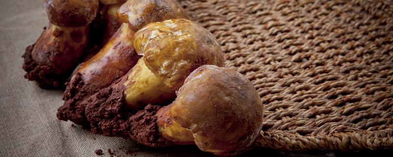 野生菌哪些不能吃 野生菌里面有白色的虫能吃吗