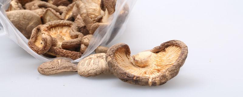 炒熟菌类可以隔夜吃吗 怎么判断菌子是否有毒
