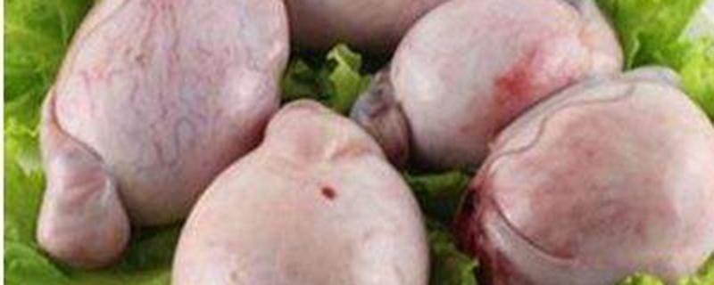 羊蛋是羊的哪个部位 羊蛋和牛蛋哪个效果好