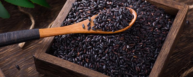 黑米粥煮之前要泡吗 电饭锅煮黑米粥的方法