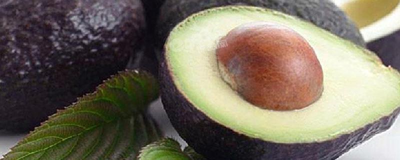 牛油果不能和什么水果一起吃 牛油果和什么水果搭配最好