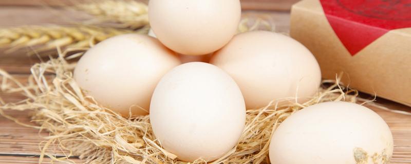 好的鸽子蛋摇起来会晃吗 鸽子蛋煮熟黄绿色是不是坏了