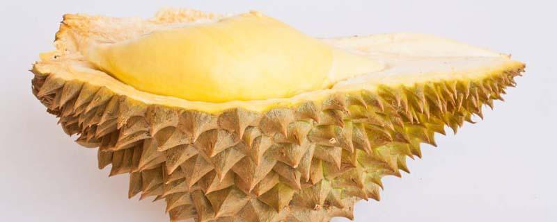 榴莲壳可以冷冻吗 榴莲壳怎么冷冻