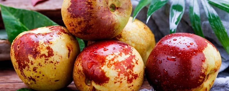 多吃冬枣有什么好处和坏处 冬枣吃了胃不舒服怎么办