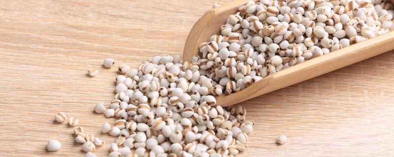 没泡过的薏米要煮多久 薏仁的正确食用方法