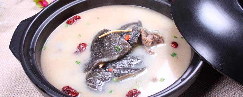 乌龟汤的禁忌 乌龟汤孕妇能喝吗