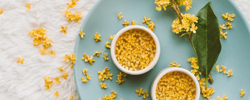 桂花茶多少度水合适 桂花茶是直接摘下来就可以泡吗
