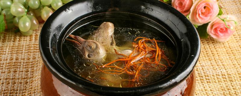 炖鸽子最忌三种调料 炖鸽子汤要焯水吗