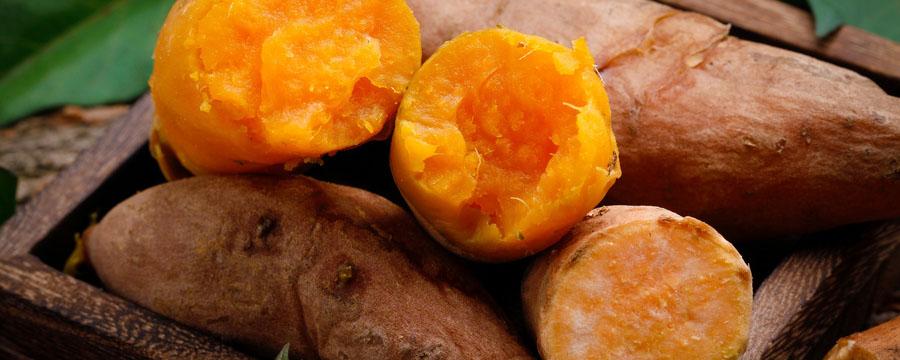 微波炉烤红薯的禁忌 微波炉烤红薯直接放进去能烤吗